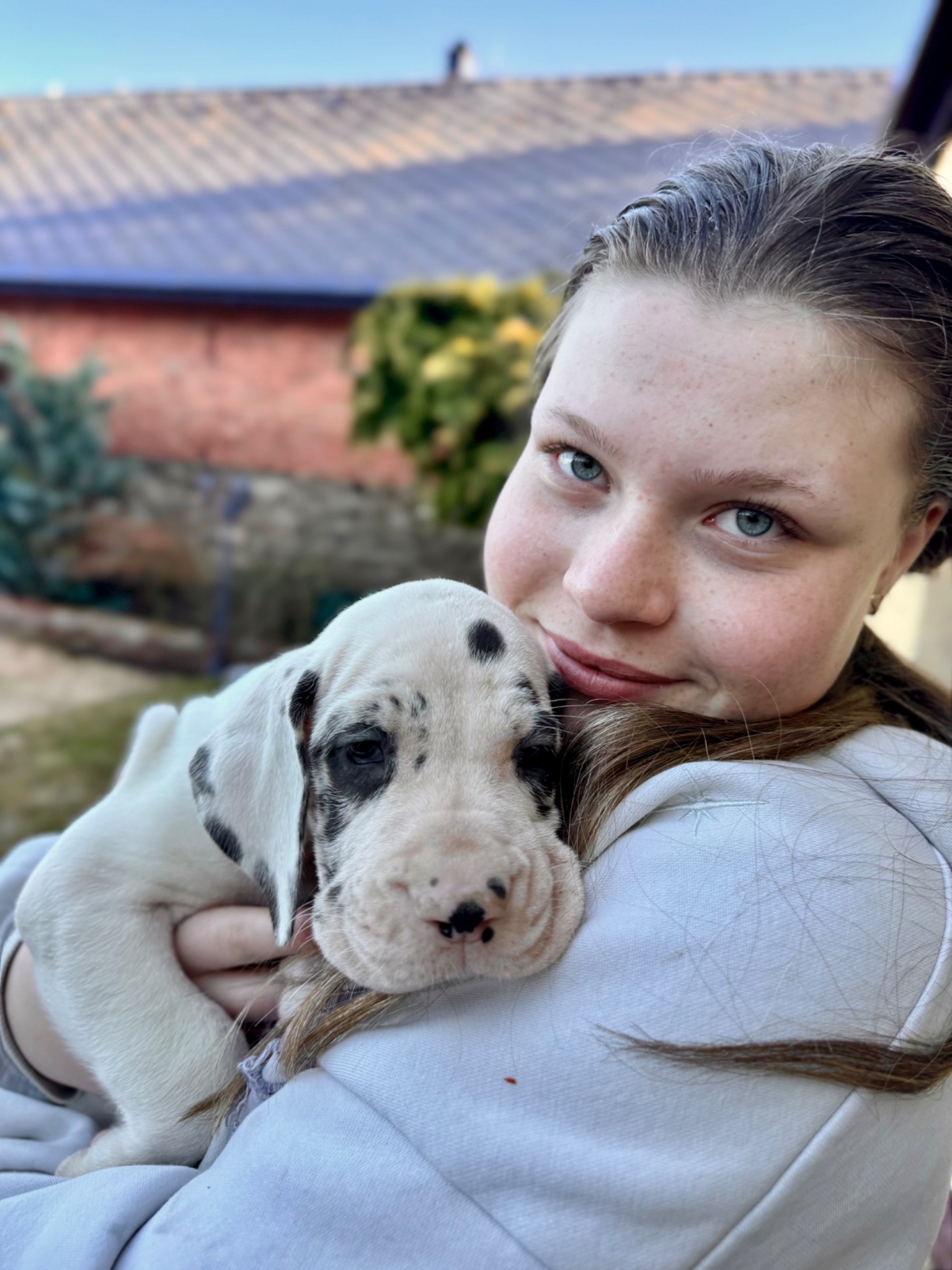 černobíle skvrnitá fena